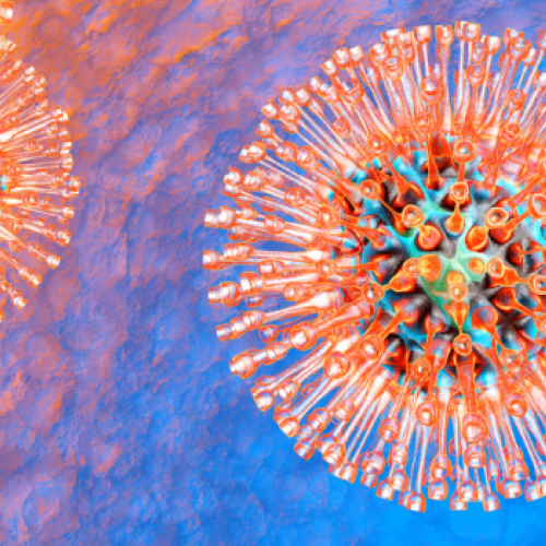 CNPWreal 1.0ml最高品質CBP CRDP CRDH45 BioPerfectus - Human Cytomegalovirus Quantitation Real Time